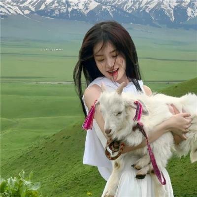 无尘之地